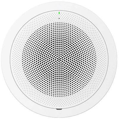 SIP/Multicast Talk-Back Speaker, no mic,