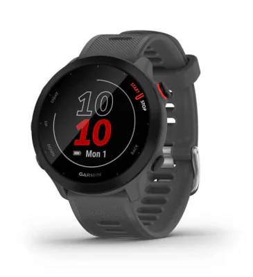 Smartwatch Forerunner 55 Monterra Grey "010-02562-13"