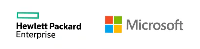 SW LIC WIN 2025 STD SVR/P77100-A21 HPE