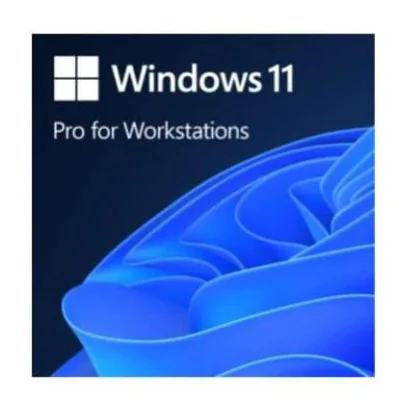 SW OEM WIN 11 PRO WRKSTNS 64B/ENG 1PK DVD HZV-00101 MS