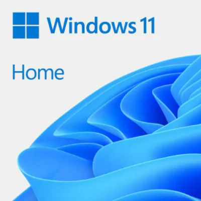 SW WIN HOME N 11 64-BIT ALL LNG PK LIC ONLINE DWNLD NR MS