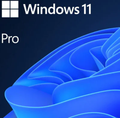 SW WIN PRO N 11 64-BIT ALL LNG PK LIC ONLINE DWNLD NR MS