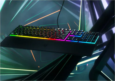 Tastatura Razer Ornata V3 - Low Profile Gaming  TECH SPECS SWITCH TYPE Razer™ Mecha-Membrane Switches APPROXIMATE SIZES Full Size LIGHTING 10 Razer Chroma™ RGB Lighting Zones WRIST REST Yes ONBOARD MEMORY None MEDIA KEYS Dedicated Media Controls PASS