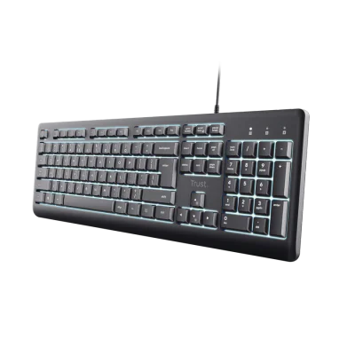 Tastatura Trust Primo, USB, gri
